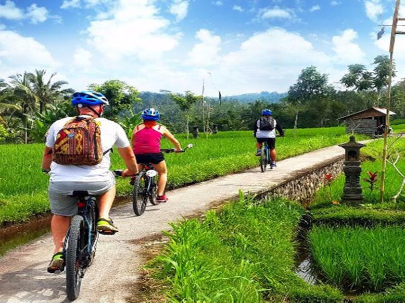 Omah D'Taman By Eps Hotel Ubud  Ngoại thất bức ảnh